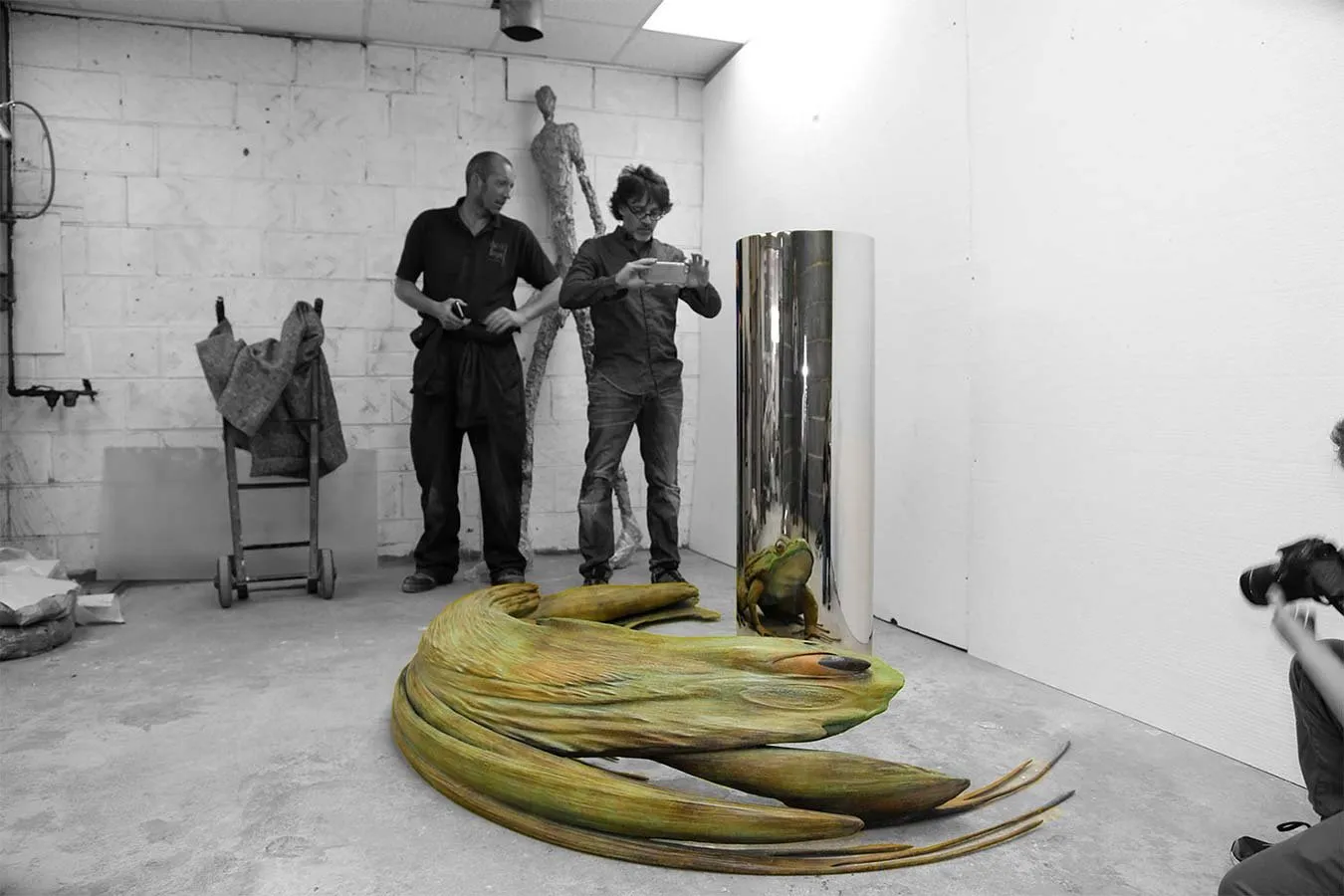 Escultura de la rana anamórfica de Jonty Hurwitz en el estudio