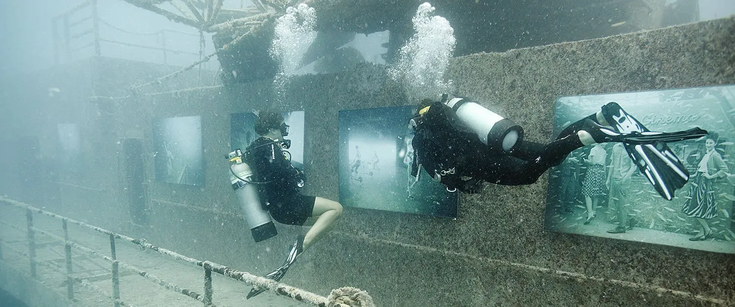 Andreas franke exposicion
