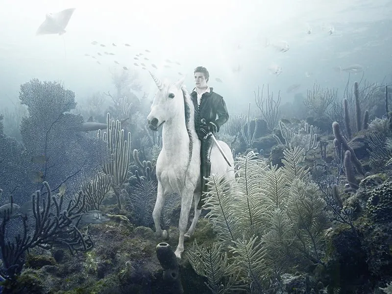 Andreas Franke: «El último unicornio» (proyecto Phantasy Fairy Tales)