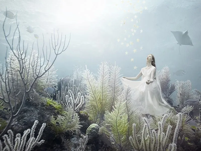 Andreas Franke: «Startalers» (proyecto Phantasy Fairy Tales)