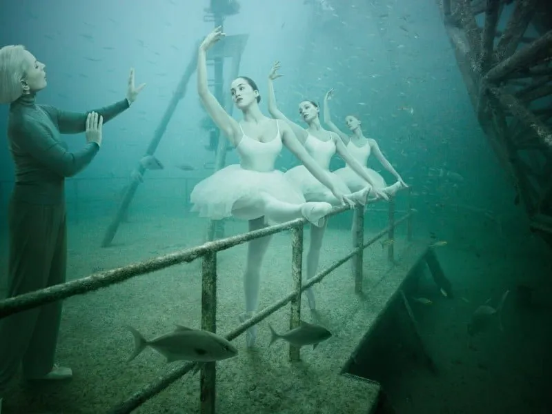 Andreas Franke: «La señora Pawlowana» (proyecto Vandenberg)