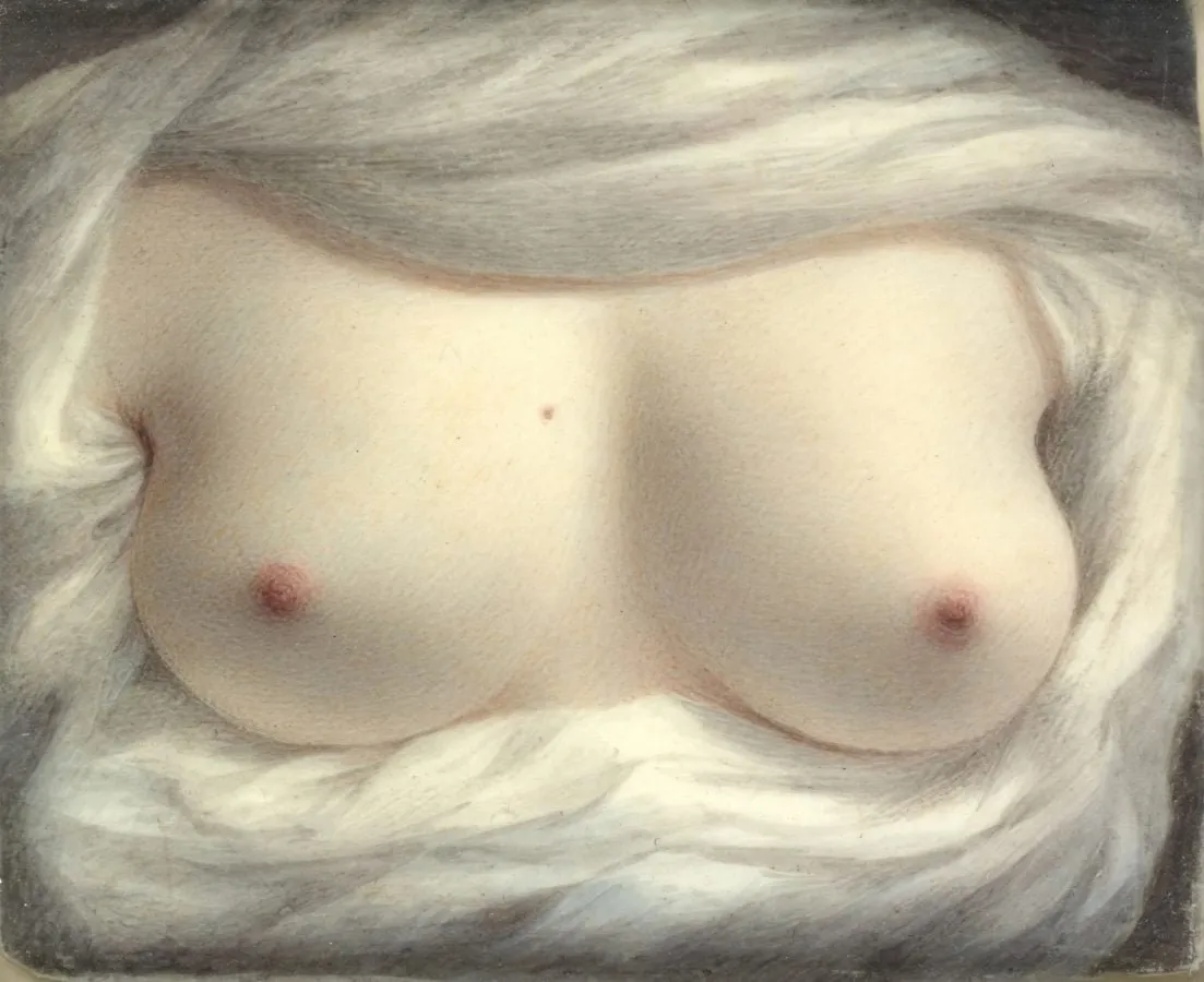 Sarah goodridge belleza robada 1828