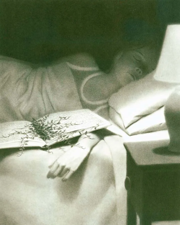 Chris Van Allsburg, «Mr. Linden's Library»