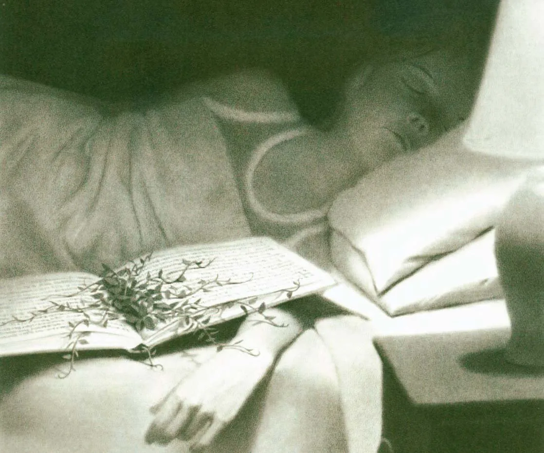 Chris Van Allsburg: Los misterios del señor Burdick