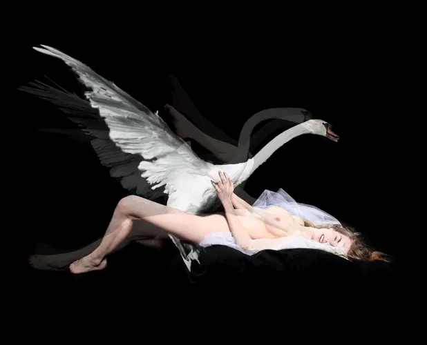 Derrick santini leda cisne 01
