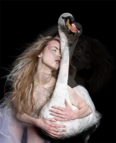 Derrick santini leda cisne 03