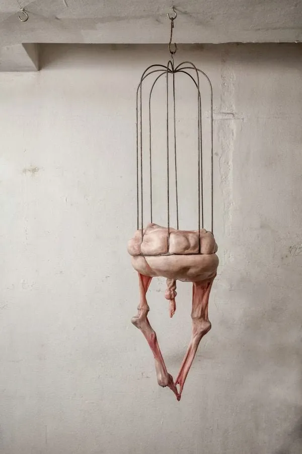 Francesco Albano: cuerpo desinflado colgado de alambres