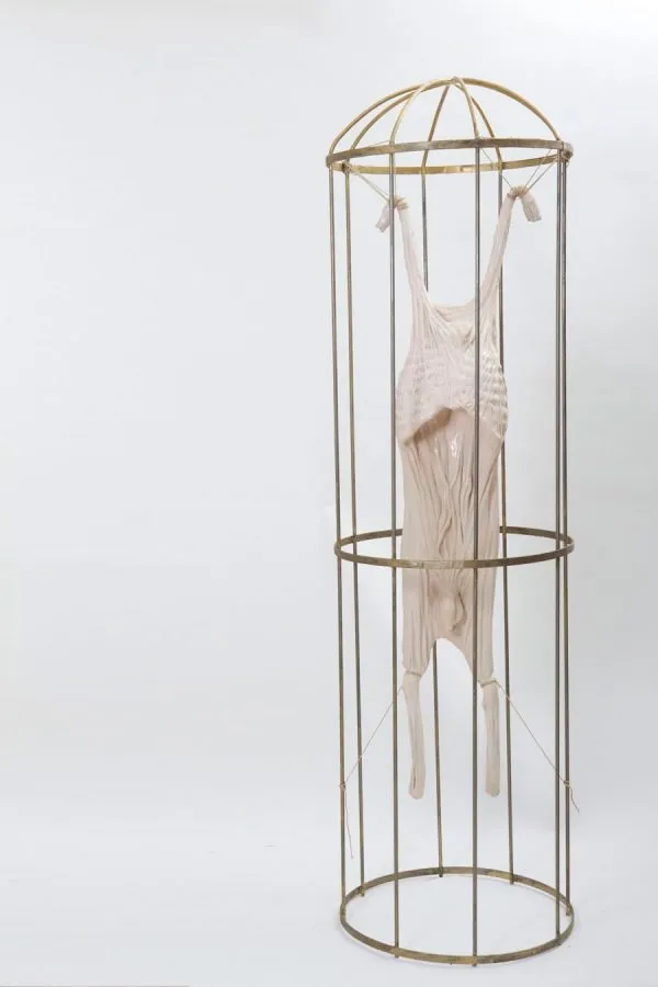 Francesco Albano: piel colgada dentro de una jaula de pájaros