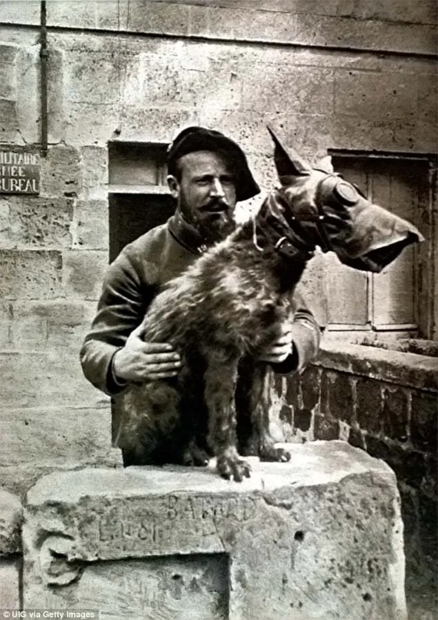 Satan perro primera guerra mundial
