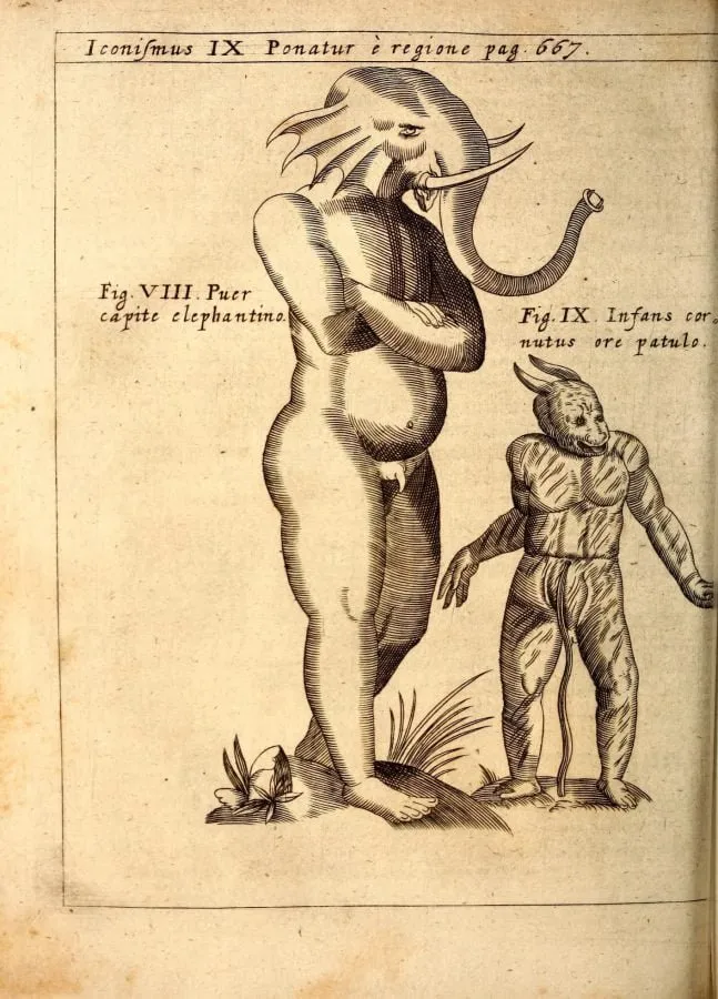 Niño con cabeza de elefante e infante cornudo, grabado de «Physica Curiosa» (1662)