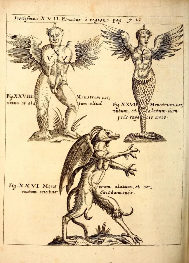 Demonios alados y cornudos, grabado de «Physica Curiosa» (1662)