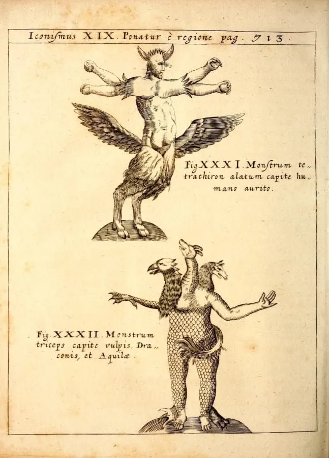 Monstruo de cuatro brazos y monstruo tricéfalo, grabado de «Physica Curiosa» (1662)