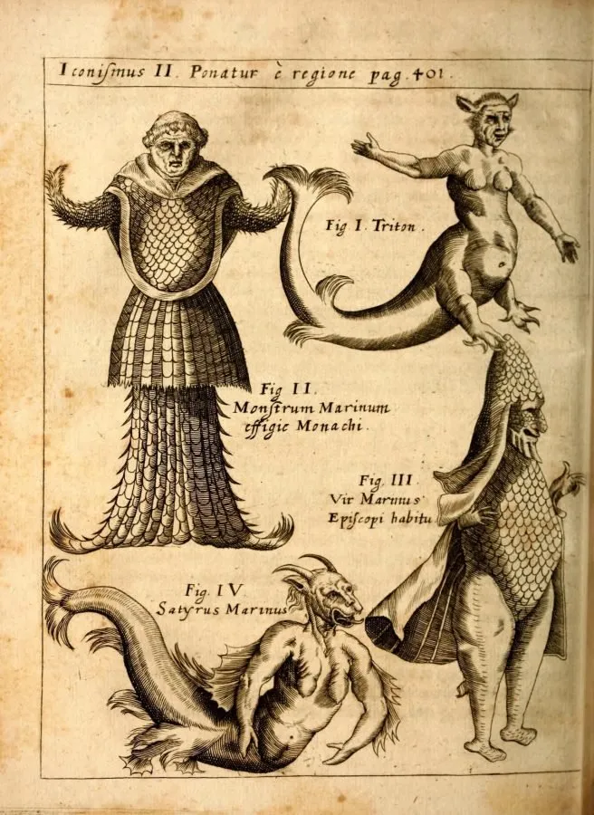 Tritón, monje marino y obispo marino, grabado de «Physica Curiosa» (1662)