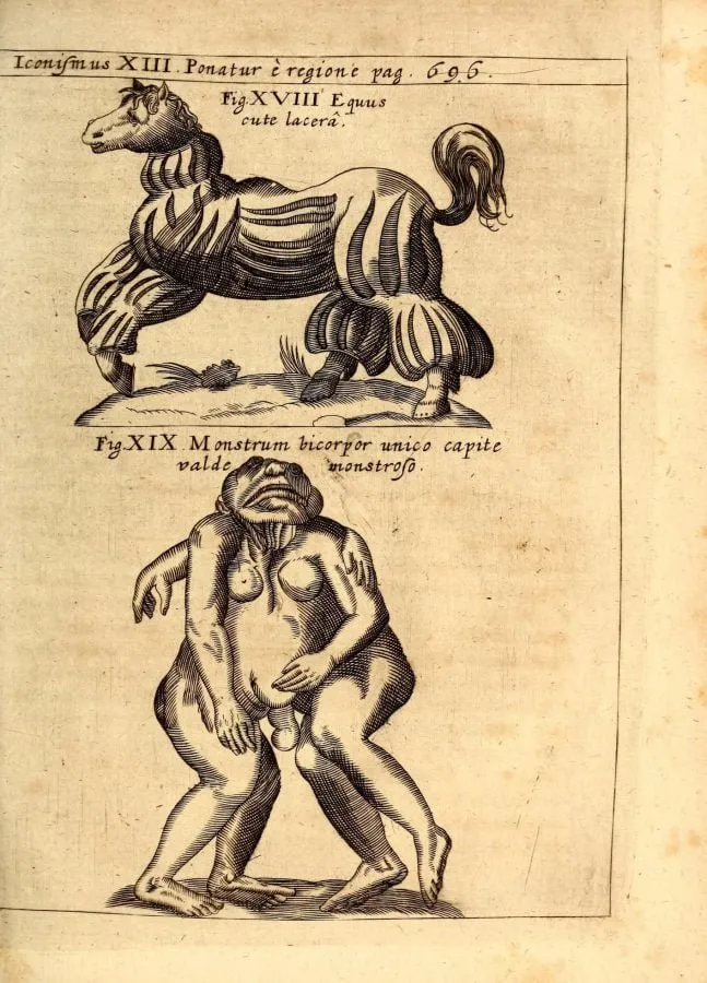 Caballo deforme y monstruo de dos cuerpos, grabado de «Physica Curiosa» (1662)