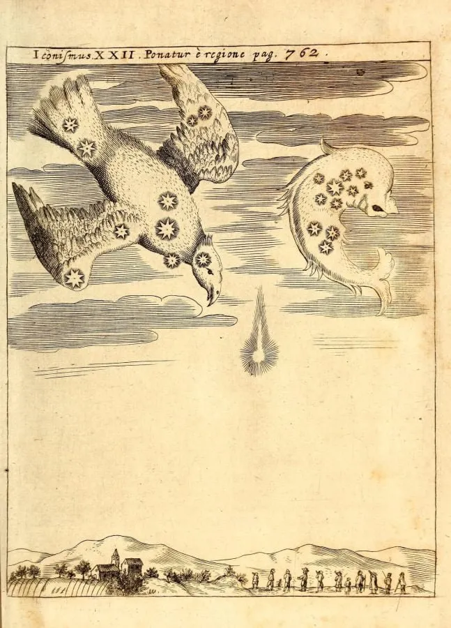Cometas con forma de ave, grabado de «Physica Curiosa» (1662)