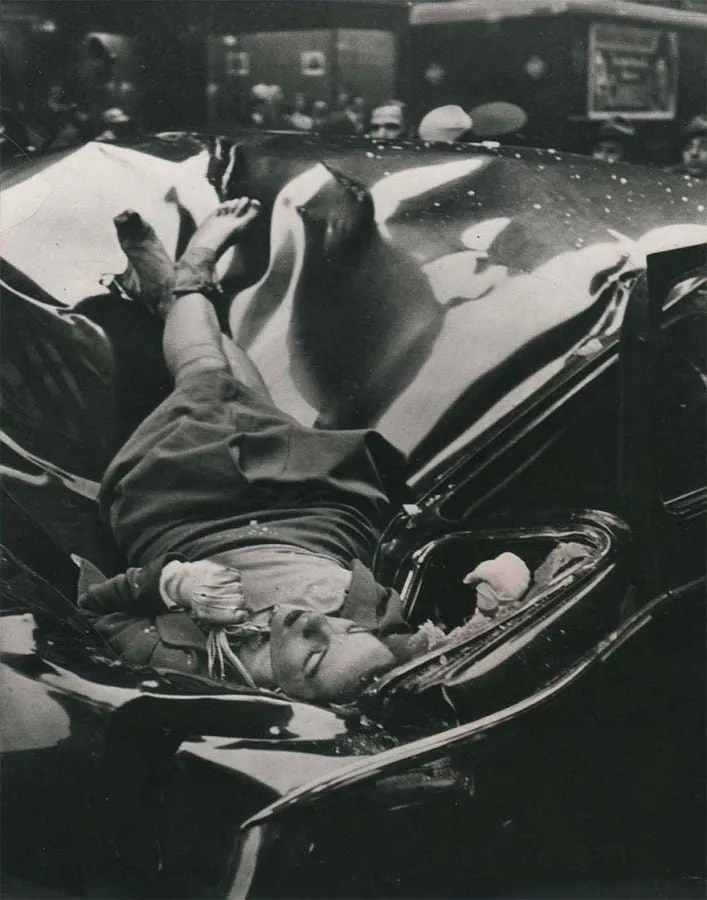 Suicidio mas hermoso evelyn mchale