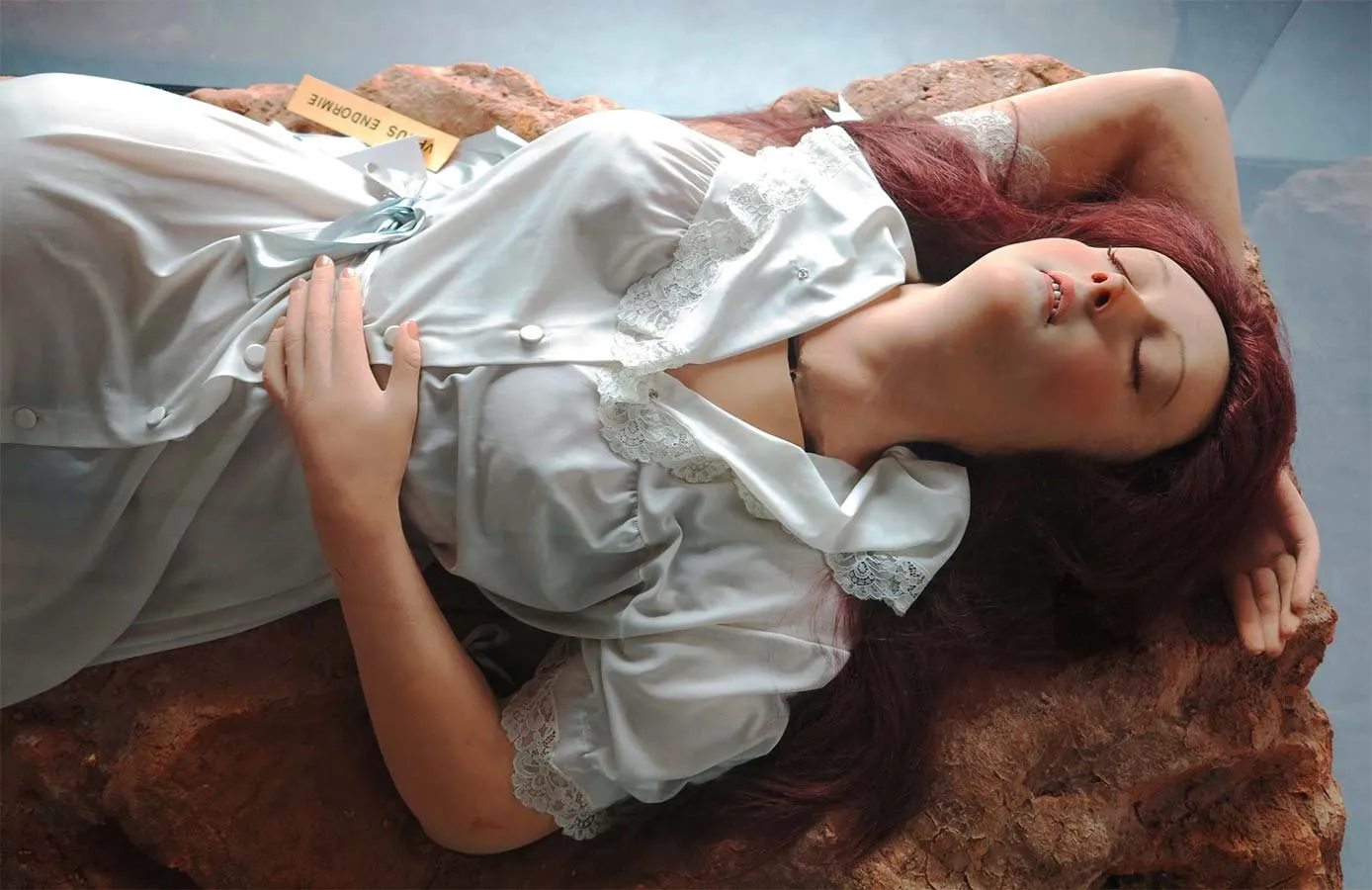 Venus anatomica 05